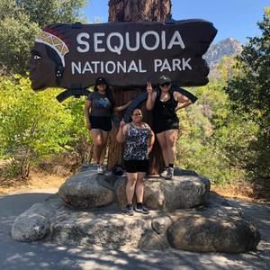 Meet your Posher, Rosa